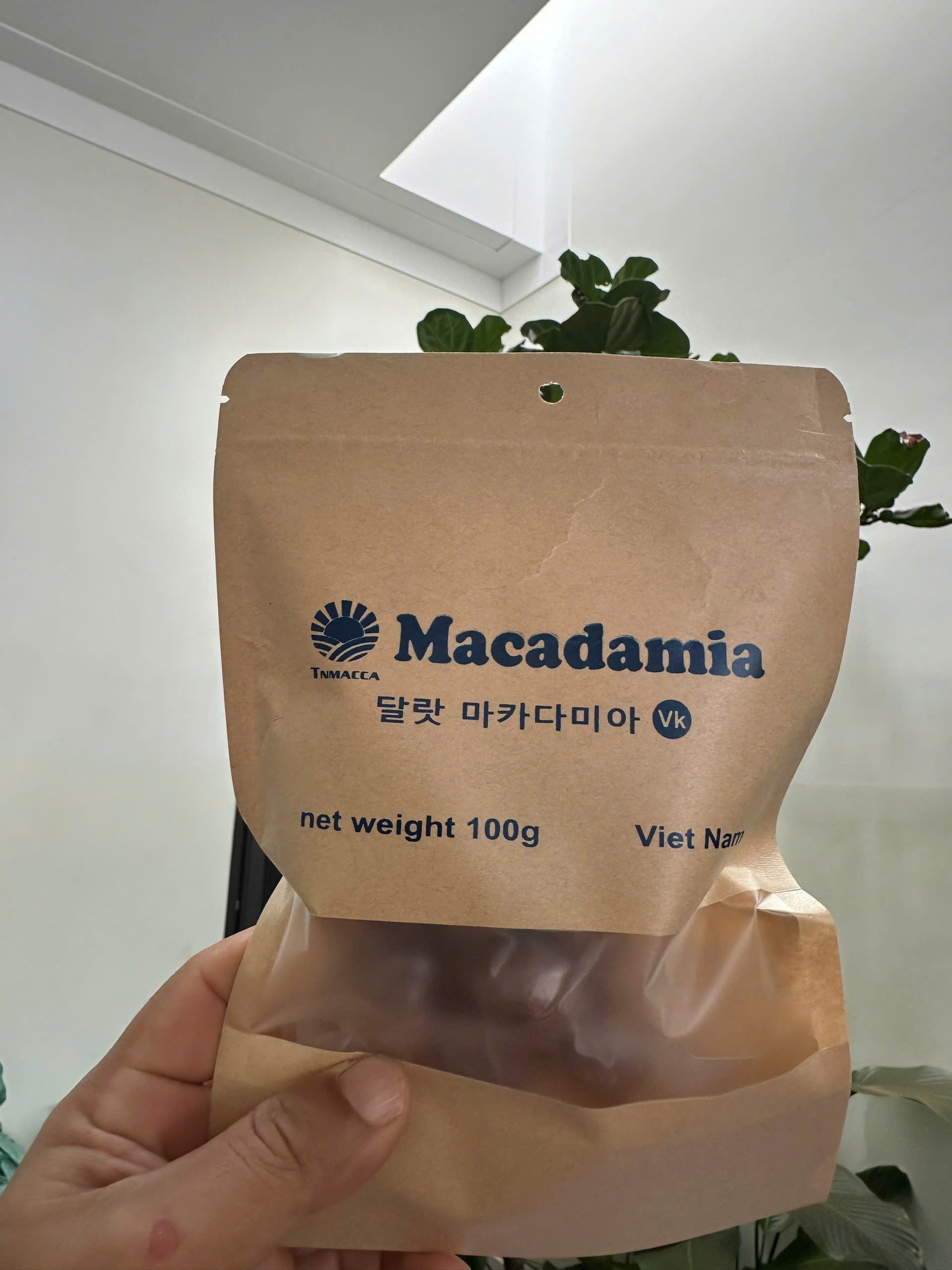 Vietnamese macadamianotenfabriek