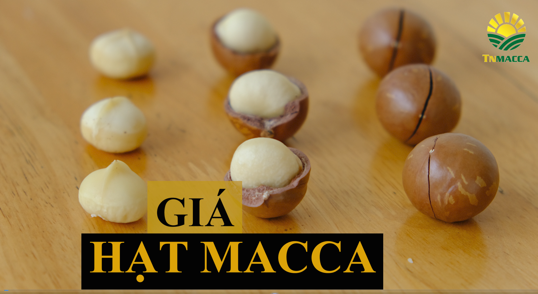 Hạt Mắc Ca Tây Nguyên -chuyên cung cấp hạt mắc ca sỉ lẻ
