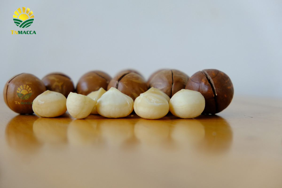 Hạt macca giá bao nhiêu 1 kg