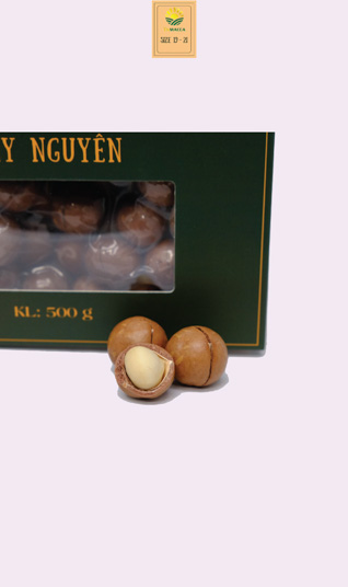 Macca sấy nứt size 19-21 mm - 2 Hộp 500g ( 1 kg )