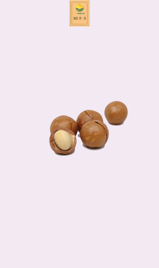 Macca sấy nứt size 19-21 mm - 2 Hộp 500g ( 1 kg )
