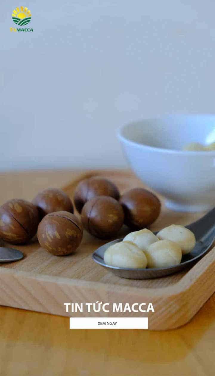 Tin Tức Mắc ca