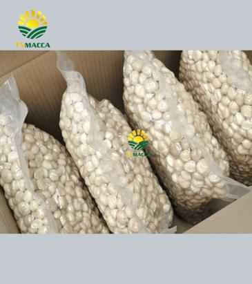 5.cach-tach-hat-macca-2-cach-tach-vo-hat-macca-tuoi-va-macca-say