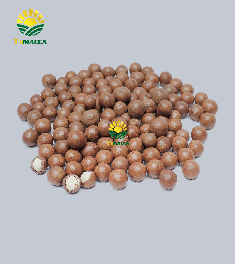 11.3-cach-che-bien-nau-chao-hat-macca-cho-tre-be-ngon-nhat-4332