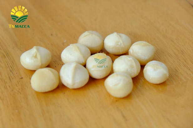 hat-macca-tay-nguyen-3-vung-trong-macca-lon-nhat-tai-tay-nguyen