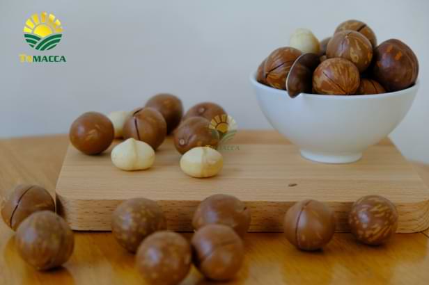 17.hat-mac-ca-uc-va-hat-mac-ca-viet-1-cuoc-chien-moi-bat-dau-