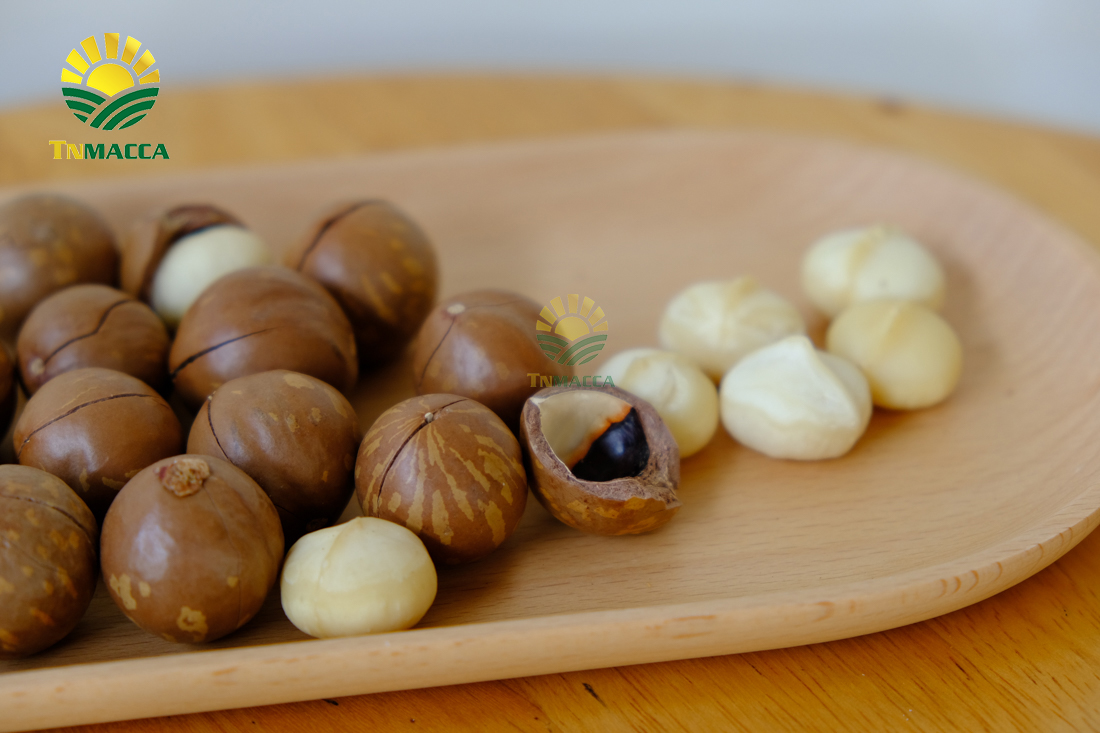 10.-hat-macca-lam-dong