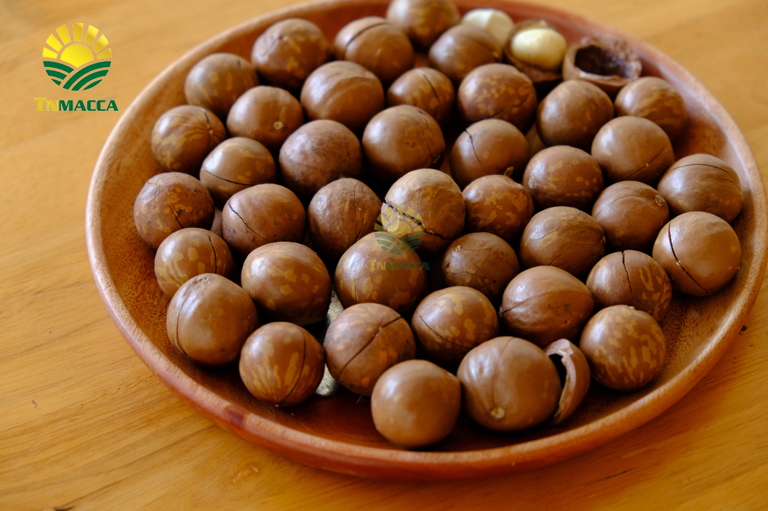 12-hat-macca-lam-dong