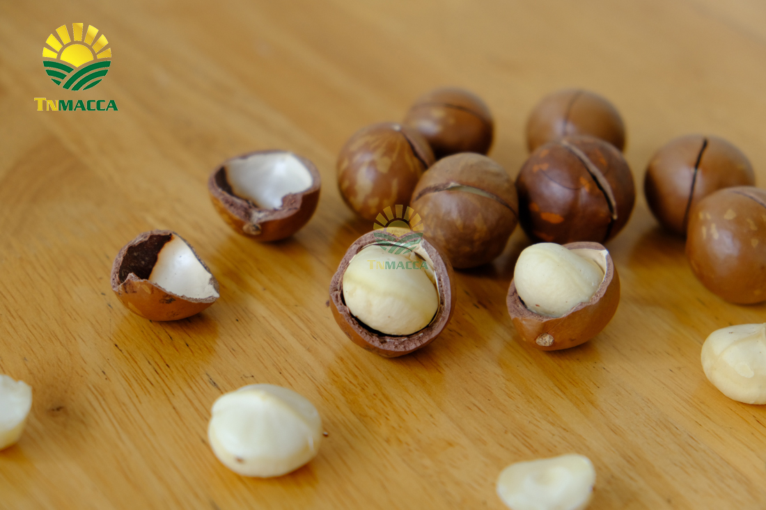 2-hat-macca-lam-dong