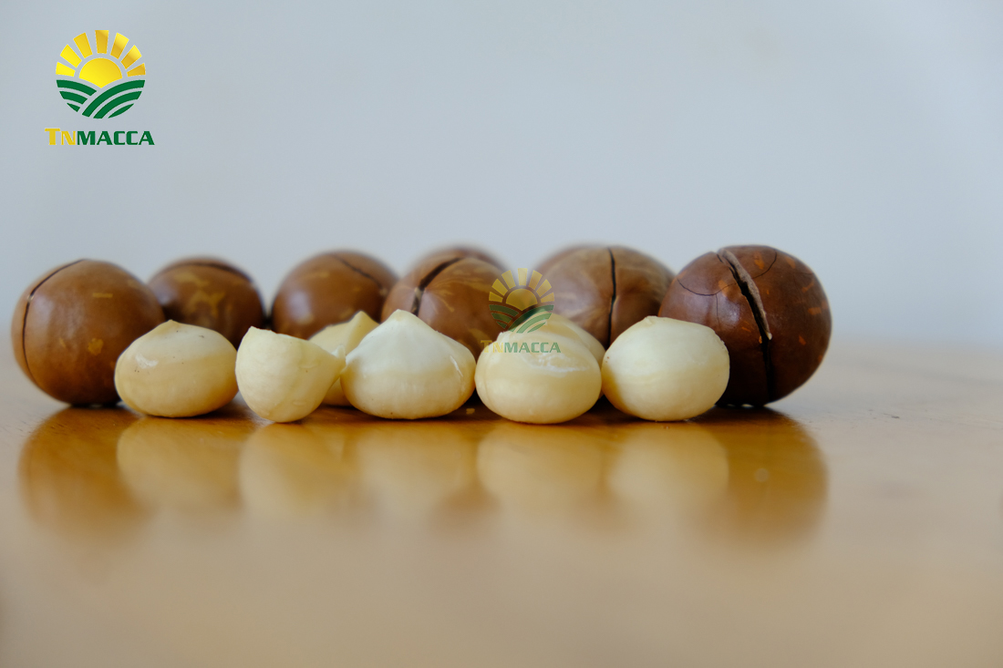 3-1-hat-macca-lam-dong