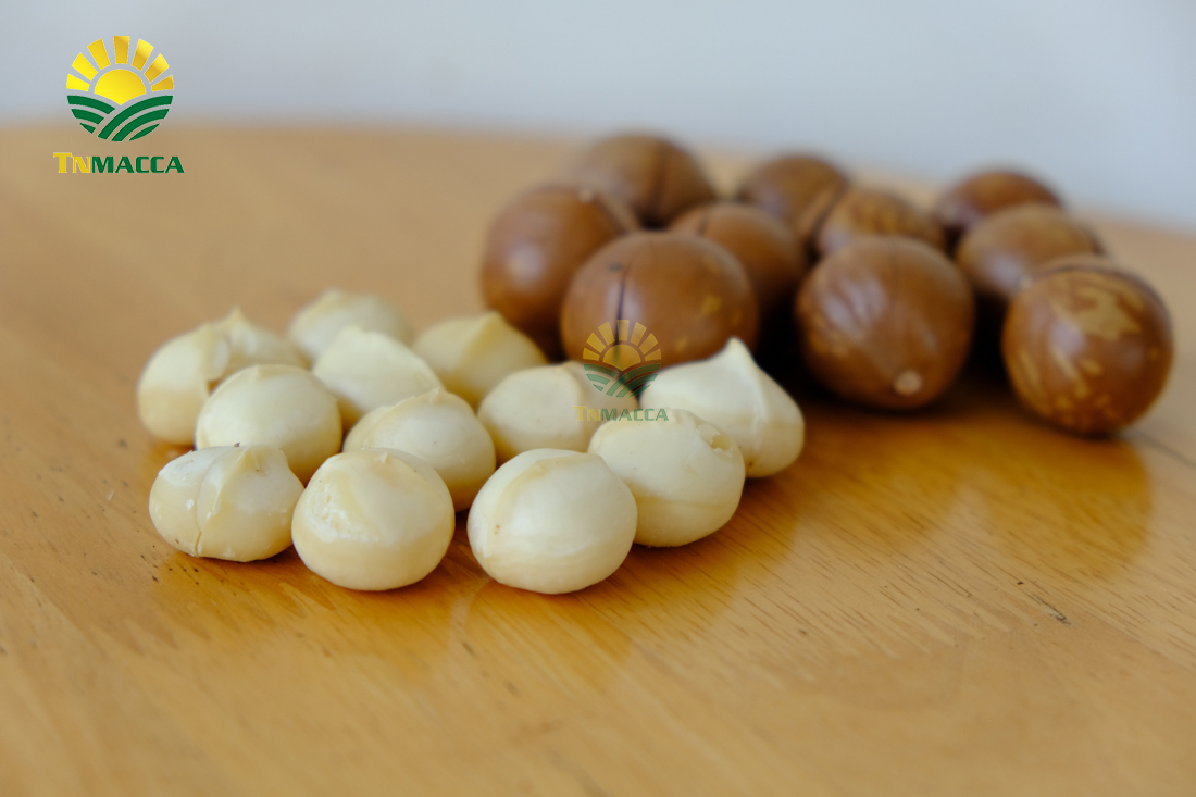 4.-hat-macca-lam-dong