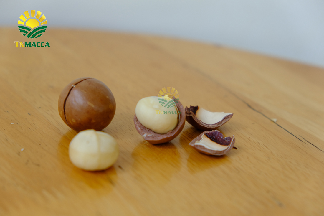 5.-hat-macca-lam-dong