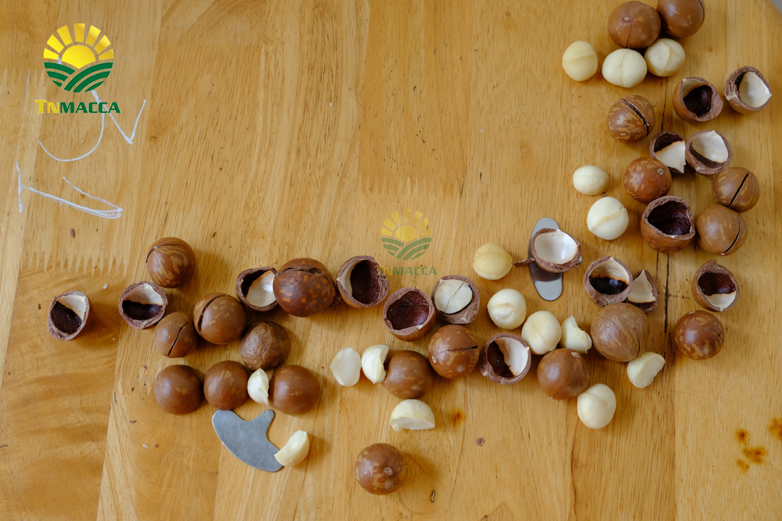 6.-hat-macca-lam-dong