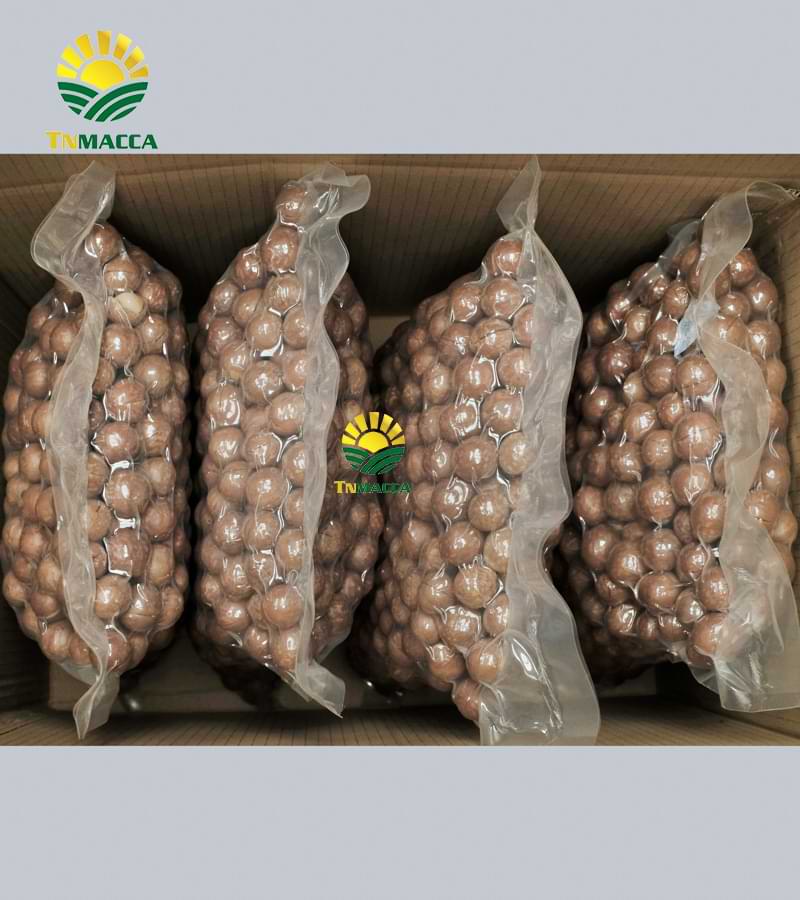 tac-dung-cua-hat-macca-voi-tre-em-hinh-anh-nhan-hat-macca