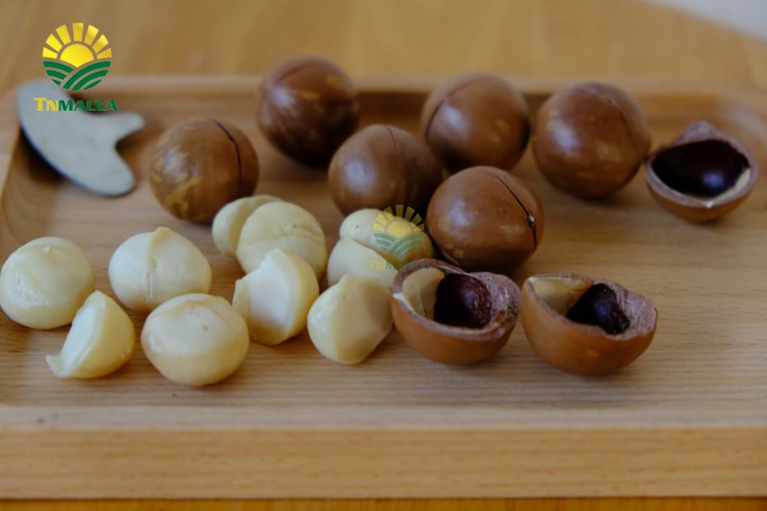 12.tac-dung-cua-hat-macca-voi-tre-em-hinh-anh-nhan-hat-macca